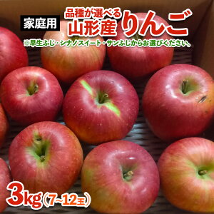 yӂ邳Ɣ[Łzyi킪IׂIz[ƒp]R`Y  3kg (7`12) fz23-594 p ƒp 󂠂  킯