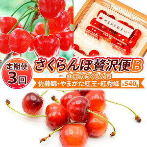 yӂ邳Ɣ[Łzy3zyґBzR`̂ сE܂gEgG e540g×3 yߘa8NYs\zFS25-001