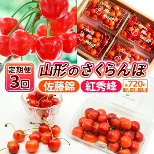 yӂ邳Ɣ[Łzy3zyڒ3zR`̂ сEgG e720g×3[5E6E7] yߘa8NYs\zFS25-003