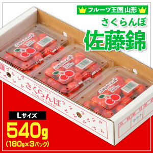 yӂ邳Ɣ[Łzt[cR`  LTCY 540g(180g×3P) yߘa8NYs\zFS25-006