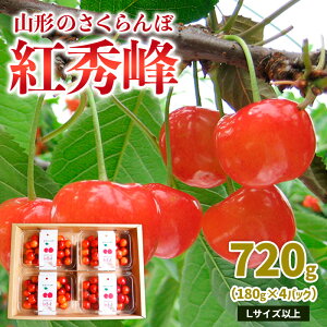 yӂ邳Ɣ[ŁzR`̂ gG 720g LTCYȏ(180g×4pbN) yߘa8NYs\zFS25-012