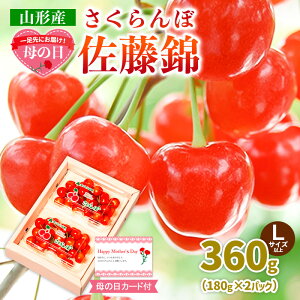 yӂ邳Ɣ[Łzꑫɂ͂Iy̓zڍ360gLTCYȏ(180g×2pbN) yߘa8NYs\zFS25-013