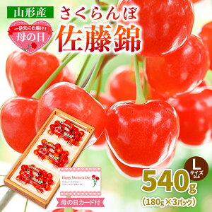 yӂ邳Ɣ[Łzꑫɂ͂Iy̓zڍ540gLTCYȏ(180g×3pbN) yߘa8NYs\zFS25-014