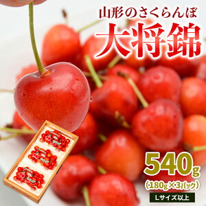 yӂ邳Ɣ[ŁzR`̂ 叫 540g LTCYȏ (180g×3pbN) yߘa8NYs\zFS25-017