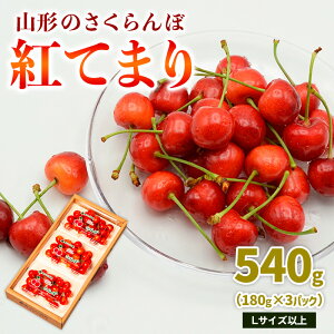 yӂ邳Ɣ[ŁzR`̂ gĂ܂ 540g LTCYȏ (180g×3pbN) yߘa8NYs\zFS25-018