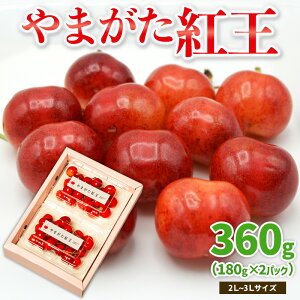 yӂ邳Ɣ[Łz܂g 360g 2`3LTCY (180g×2pbN) yߘa8NYs\zFS25-019