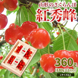 yӂ邳Ɣ[ŁzR`̂ gG 360g LTCYȏ (180g×2pbN) yߘa8NYs\zFS25-021