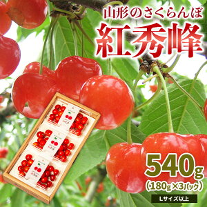 yӂ邳Ɣ[ŁzR`̂ gG 540g LTCYȏ (180g×3pbN) yߘa8NYs\zFS25-022