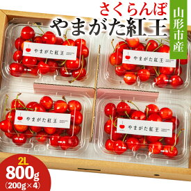 【ふるさと納税】山形市産 さくらんぼ(やまがた紅王)2L 800g(200g×4) 【令和8年産先行予約】FS25-026