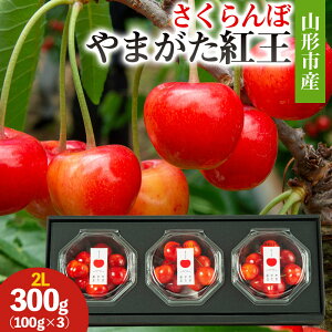 yӂ邳Ɣ[ŁzR`sY (܂g)2L 300g(100g×3) yߘa8NYs\zFS25-027