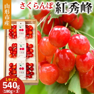 yӂ邳Ɣ[ŁzR`sY (gG)L 540g(180g×3) yߘa8NYs\zFS25-029