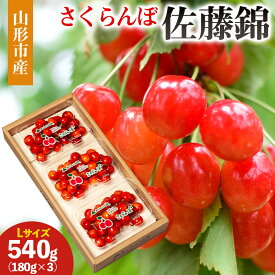 【ふるさと納税】山形市産 さくらんぼ(佐藤錦)L 540g(180g×3) 【令和8年産先行予約】FS25-030