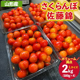 【ふるさと納税】ご家庭みんなで楽しむ2kg！さくらんぼ 佐藤錦 Lサイズ 2kg (500g×4パック入り) 【令和8年産先行予約】FS25-031