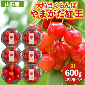 yӂ邳Ɣ[Łz嗱̂ځu܂gv3LTCY 600g (100×6pbN) yߘa8NYs\zFS25-032