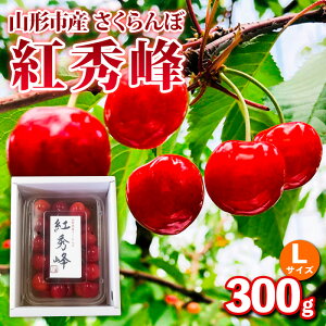 yӂ邳Ɣ[ŁzR`sYځygGzLTCY 300g ol yߘa8NYs\zFS25-034
