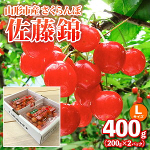 yӂ邳Ɣ[ŁzR`sYځyсzLTCY 400g(200g×2pbN) yߘa8NYs\zFS25-035