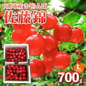 【ふるさと納税】山形市産さくらんぼ【佐藤錦】Lサイズ 700g バラ詰め 【令和8年産先行予約】FS25-036