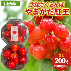 yӂ邳Ɣ[Łz嗱̂ ܂g 3LTCY 200g (100g×2pbN) yߘa8NYs\zFS25-038