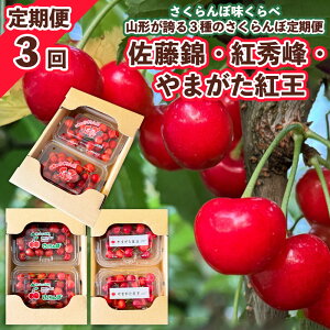 yӂ邳Ɣ[Łzy3zږ R`ւ3̂ڒ |сEgGEg| yߘa8NYs\zFS25-039