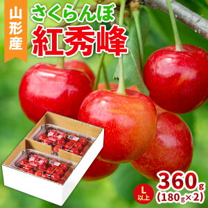 yӂ邳Ɣ[ŁzR`Y (gG) Lȏ 360g(180g×2pbN) yߘa8NYs\zFS25-040