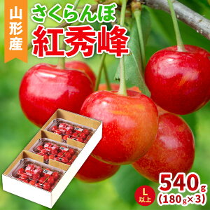 yӂ邳Ɣ[ŁzR`Y (gG) Lȏ 540g(180g×3pbN) yߘa8NYs\zFS25-041