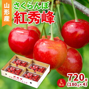 yӂ邳Ɣ[Łz(gG)LTCYȏ 720g(180g×4pbN) yߘa8NYs\zFS25-042