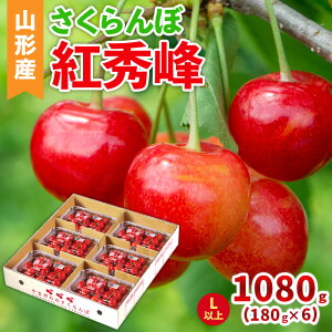 yӂ邳Ɣ[Łz(gG)LTCYȏ 1080g(180g×6pbN) yߘa8NYs\zFS25-043