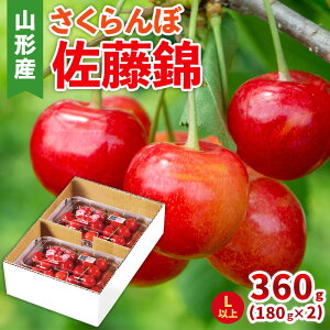 yӂ邳Ɣ[Łz() LTCY 360g(180g×2pbN) yߘa8NYs\zFS25-044