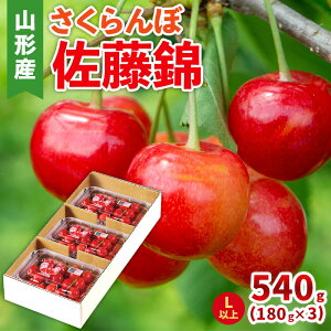yӂ邳Ɣ[Łz() LTCY 540g(180g×3pbN) yߘa8NYs\zFS25-045