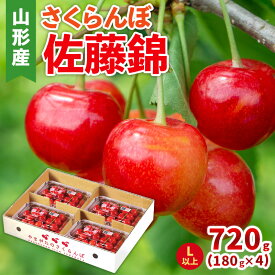 【ふるさと納税】さくらんぼ(佐藤錦) Lサイズ 720g(180g×4パック) 【令和8年産先行予約】FS25-046