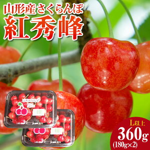 yӂ邳Ɣ[ŁzR`Y  gG Lȏ 360g(180g×2pbN) yߘa8NYs\zFS25-048