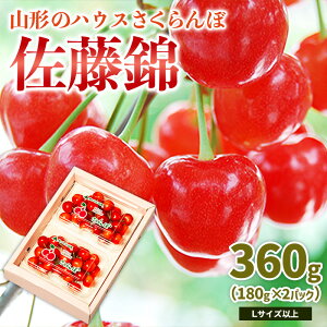 yӂ邳Ɣ[ŁzR`̃nEX   360g(180g×2pbN)LTCYȏ yߘa8NYs\zFS25-049