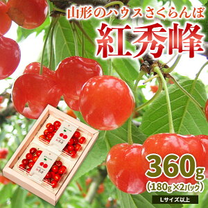 yӂ邳Ɣ[ŁzR`̃nEX  gG 360g(180g×2pbN)LTCYȏ yߘa8NYs\zFS25-050