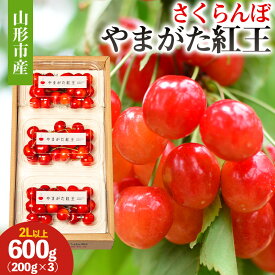 【ふるさと納税】山形市産 さくらんぼ(やまがた紅王)2L以上 600g(200g×3) 【令和8年産先行予約】FS25-051