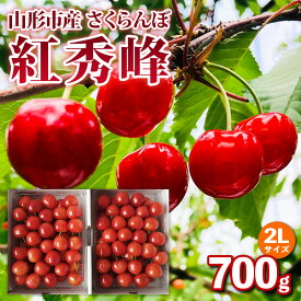【ふるさと納税】山形市産 さくらんぼ【紅秀峰】2Lサイズ 約700g 【令和8年産先行予約】FS25-052