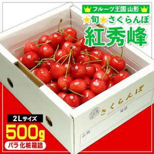 yӂ邳Ɣ[Łz{ gG 2LTCY 500g o ϔl yߘa8NYs\zFS25-053