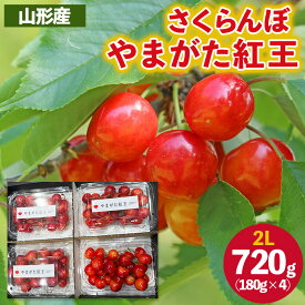 【ふるさと納税】さくらんぼ ”やまがた紅王” 2Lサイズ 720g(180g×4パック) 【令和8年産先行予約】FS25-055