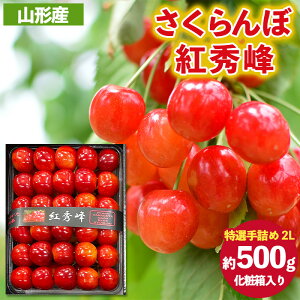 yӂ邳Ɣ[Łz gG hIl߁h 2LTCY ϔ(500g) yߘa8NYs\zFS25-057