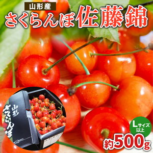yӂ邳Ɣ[Łz  Lȏ 500gyߘa8NYs\zFS25-058