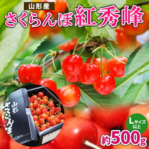 yӂ邳Ɣ[Łz gG Lȏ 500gyߘa8NYs\zFS25-059