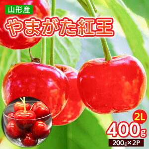 yӂ邳Ɣ[Łz܂ g 2L 400g(200g×2pbN)yߘa8NYs\zFS25-064