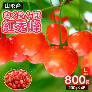 yӂ邳Ɣ[Łz LTCYȏ gG 800g(200g×4pbN)yߘa8NYs\zFS25-065