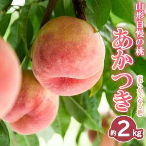 yӂ邳Ɣ[ŁzR`̓ yz 2kgyߘa8NYs\zFS25-072