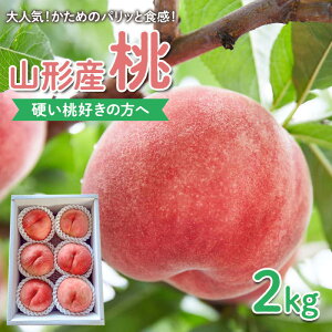 yӂ邳Ɣ[ŁzydD̕ցzlCI߂̃pbƐHIR`Y  2kgyߘa8NYs\zFS25-083