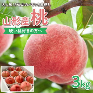 yӂ邳Ɣ[ŁzydD̕ցzlCI߂̃pbƐHIR`Y  3kgyߘa8NYs\zFS25-084