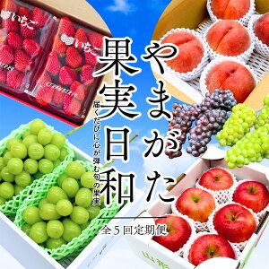 yӂ邳Ɣ[Łzy5z܂ʎa ""B͂тɐSeޏ{̉ʎyߘa8NYs\zFS25-085