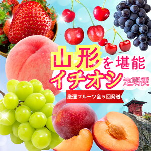 yӂ邳Ɣ[Łzy5z܂\IC`IVցyߘa8NYs\zFS25-086