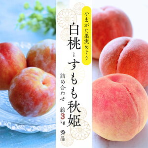 yӂ邳Ɣ[Łz܂ʎ߂ \ƏHP\ 3kg Giyߘa8NYs\zFS25-090