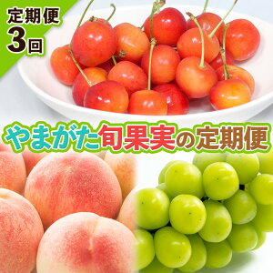 yӂ邳Ɣ[Łzy3z܂{ʎ̒ցyߘa8NYs\zFS25-092