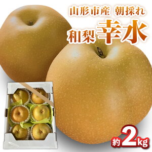 yӂ邳Ɣ[ŁzR`sŶya(K)z 6`7 2kgyߘa8NYs\zFS25-093